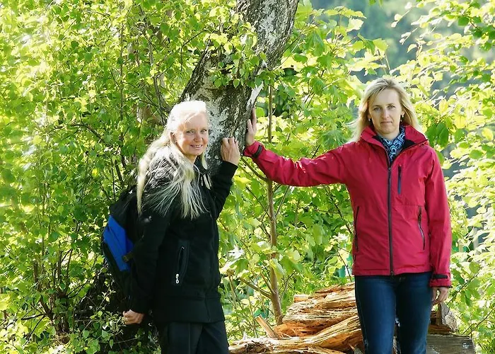 豪斯玫瑰宾馆 公寓 Wenigzell